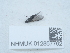  ( - NHMUK012857762)  @11 [ ] Unspecified (default): All Rights Reserved  Unspecified Unspecified