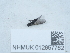  ( - NHMUK012857762)  @11 [ ] Unspecified (default): All Rights Reserved  Unspecified Unspecified