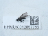  ( - NHMUK012857763)  @11 [ ] Unspecified (default): All Rights Reserved  Unspecified Unspecified