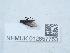  ( - NHMUK012857763)  @11 [ ] Unspecified (default): All Rights Reserved  Unspecified Unspecified