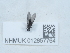  ( - NHMUK012857764)  @11 [ ] Unspecified (default): All Rights Reserved  Unspecified Unspecified