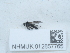  ( - NHMUK012857765)  @11 [ ] Unspecified (default): All Rights Reserved  Unspecified Unspecified