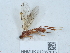  ( - NHMUK012857815)  @11 [ ] Unspecified (default): All Rights Reserved  Unspecified Unspecified