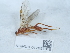  ( - NHMUK012857815)  @11 [ ] Unspecified (default): All Rights Reserved  Unspecified Unspecified
