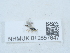  ( - NHMUK012857847)  @11 [ ] Unspecified (default): All Rights Reserved  Unspecified Unspecified