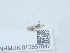  ( - NHMUK012857847)  @11 [ ] Unspecified (default): All Rights Reserved  Unspecified Unspecified