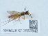  ( - NHMUK012857848)  @11 [ ] Unspecified (default): All Rights Reserved  Unspecified Unspecified