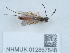  ( - NHMUK012857848)  @11 [ ] Unspecified (default): All Rights Reserved  Unspecified Unspecified