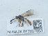 ( - NHMUK012857853)  @11 [ ] Unspecified (default): All Rights Reserved  Unspecified Unspecified