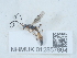  ( - NHMUK012857864)  @11 [ ] Unspecified (default): All Rights Reserved  Unspecified Unspecified