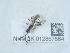  ( - NHMUK012857864)  @11 [ ] Unspecified (default): All Rights Reserved  Unspecified Unspecified