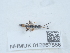 ( - NHMUK012857866)  @11 [ ] Unspecified (default): All Rights Reserved  Unspecified Unspecified
