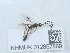  ( - NHMUK012857869)  @11 [ ] Unspecified (default): All Rights Reserved  Unspecified Unspecified