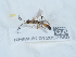  ( - NHMUK012857869)  @11 [ ] Unspecified (default): All Rights Reserved  Unspecified Unspecified