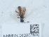  ( - NHMUK012857870)  @11 [ ] Unspecified (default): All Rights Reserved  Unspecified Unspecified