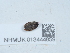  ( - NHMUK013444859)  @11 [ ] Unspecified (default): All Rights Reserved  Unspecified Unspecified