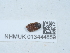  ( - NHMUK013444859)  @11 [ ] Unspecified (default): All Rights Reserved  Unspecified Unspecified