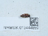  ( - NHMUK013444859)  @11 [ ] Unspecified (default): All Rights Reserved  Unspecified Unspecified