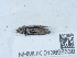  ( - NHMUK013698536)  @11 [ ] Unspecified (default): All Rights Reserved  Unspecified Unspecified