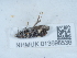  ( - NHMUK013698536)  @11 [ ] Unspecified (default): All Rights Reserved  Unspecified Unspecified