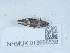  ( - NHMUK013698536)  @11 [ ] Unspecified (default): All Rights Reserved  Unspecified Unspecified