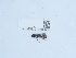  ( - NHMUK013698555)  @11 [ ] Unspecified (default): All Rights Reserved  Unspecified Unspecified