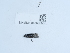  ( - NHMUK013698555)  @11 [ ] Unspecified (default): All Rights Reserved  Unspecified Unspecified