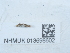 ( - NHMUK013698602)  @11 [ ] Unspecified (default): All Rights Reserved  Unspecified Unspecified