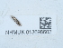  ( - NHMUK013698602)  @11 [ ] Unspecified (default): All Rights Reserved  Unspecified Unspecified