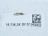  ( - NHMUK013698602)  @11 [ ] Unspecified (default): All Rights Reserved  Unspecified Unspecified