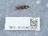  ( - NHMUK013698628)  @11 [ ] Unspecified (default): All Rights Reserved  Unspecified Unspecified