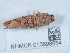  ( - NHMUK013698654)  @11 [ ] Unspecified (default): All Rights Reserved  Unspecified Unspecified