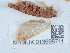  ( - NHMUK013698711)  @11 [ ] Unspecified (default): All Rights Reserved  Unspecified Unspecified