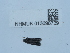  ( - NHMUK013698729)  @11 [ ] Unspecified (default): All Rights Reserved  Unspecified Unspecified