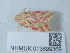  ( - NHMUK013699369)  @11 [ ] Unspecified (default): All Rights Reserved  Unspecified Unspecified