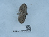  ( - NHMUK013699514)  @11 [ ] Unspecified (default): All Rights Reserved  Unspecified Unspecified