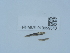  ( - NHMUK013699540)  @11 [ ] Unspecified (default): All Rights Reserved  Unspecified Unspecified