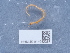  ( - NHMUK014042287)  @11 [ ] Unspecified (default): All Rights Reserved  Unspecified Unspecified