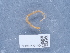  ( - NHMUK014042287)  @11 [ ] Unspecified (default): All Rights Reserved  Unspecified Unspecified