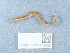  ( - NHMUK014043025)  @11 [ ] Unspecified (default): All Rights Reserved  Unspecified Unspecified