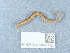  ( - NHMUK014043025)  @11 [ ] Unspecified (default): All Rights Reserved  Unspecified Unspecified