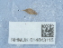  ( - NHMUK014043115)  @11 [ ] Unspecified (default): All Rights Reserved  Unspecified Unspecified