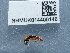  ( - NHMUK014400146)  @11 [ ] Unspecified (default): All Rights Reserved  Unspecified Unspecified