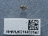  ( - NHMUK014400147)  @11 [ ] Unspecified (default): All Rights Reserved  Unspecified Unspecified