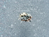  ( - NHMUK014400147)  @11 [ ] Unspecified (default): All Rights Reserved  Unspecified Unspecified