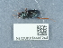  ( - NHMUK014400244)  @11 [ ] Unspecified (default): All Rights Reserved  Unspecified Unspecified