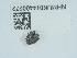  ( - NHMUK014400272)  @11 [ ] Unspecified (default): All Rights Reserved  Unspecified Unspecified