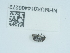  ( - NHMUK014400272)  @11 [ ] Unspecified (default): All Rights Reserved  Unspecified Unspecified