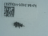  ( - NHMUK014400292)  @11 [ ] Unspecified (default): All Rights Reserved  Unspecified Unspecified