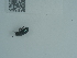  ( - NHMUK014400292)  @11 [ ] Unspecified (default): All Rights Reserved  Unspecified Unspecified